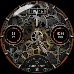 Clockwork Watch Face GTC5 icon