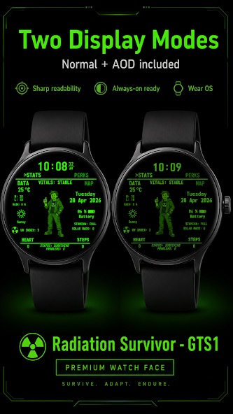 Retro Radiation Survivor GTS1 watch face preview